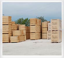 pallets Dusseldorf