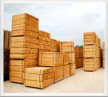 pallets Dusseldorf